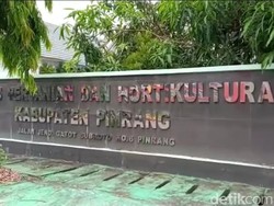 Ada ASN Positif Covid-19, Kantor Dinas Pertanian di Pinrang Ditutup