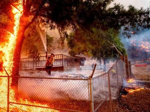 Mengenal Glass Fire, Setengah Hektar Hutan Terbakar Tiap Lima Detik Mengenal Glass Fire, Setengah Hektar Hutan Terbakar Tiap Lima Detik