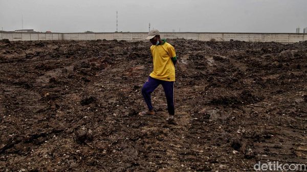 Lahan di Rorotan Siap Jadi Lokasi Pemakaman Jenazah COVID-19