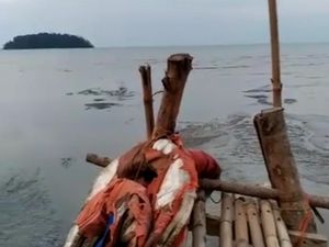 BPBD Jelaskan Heboh Video Air Laut di Pantai Jepara Mendadak Surut BPBD Jelaskan Heboh Video Air Laut di Pantai Jepara Mendadak Surut