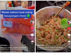 Bikin Netizen Ngiler, Wanita Ini Masak Salmon Panggang Buat Anjingnya
