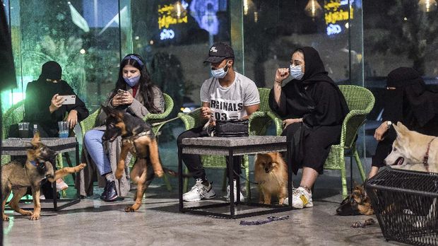 German Shepherds play together as their mask-clad owners (COVID-19 coronavirus pandemic precaution) sit by at the 