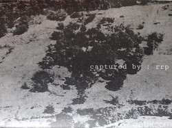 Kisah Penemuan Sumur Maut Lubang Buaya