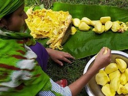 Nangka, Buah yang Menyelamatkan Sri Lanka dari Kelaparan