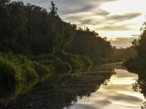 Sungai Cibuntu Sukabumi Sempat Meluap, Warga Korban Banjir Waspada