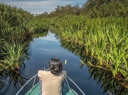 Coba Ekowisata di Tanjung Puting, Begini Keseruannya!