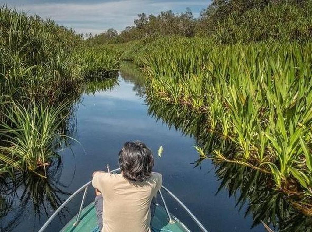 Coba Ekowisata di Tanjung Puting, Begini Keseruannya! Coba Ekowisata di Tanjung Puting, Begini Keseruannya!
