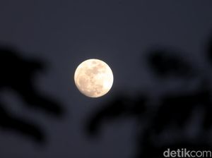 Bulan Purnama Stroberi 14 Juni, Hati-hati Air Laut Pasang Bulan Purnama Stroberi 14 Juni, Hati-hati Air Laut Pasang