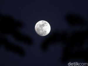 Seperti Ini Penampakan Bulan Purnama di Langit Depok