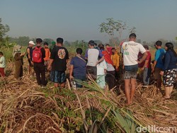 Mayat Perempuan Tinggal Tulang dan Kulit Ditemukan di Kebun Tebu Mojokerto