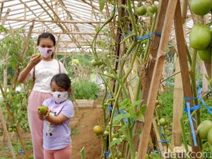 Serunya Wisata Edukasi di Masa Pandemi