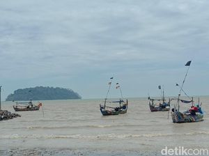 Heboh Air Laut Surut di Pantai Jepara, Pemkab: Bukan Tanda Tsunami Heboh Air Laut Surut di Pantai Jepara, Pemkab: Bukan Tanda Tsunami