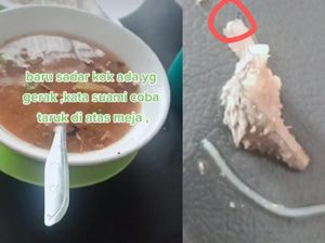 Viral Kecoa Hidup di J.Co, Tikus hingga Ulat Pernah Ditemukan di Restoran Ini Viral Kecoa Hidup di J.Co, Tikus hingga Ulat Pernah Ditemukan di Restoran Ini
