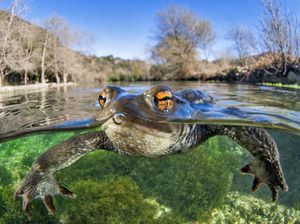 Aneka Foto Close Up Paling Memukau