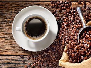 Hari Kopi: Dari Kopi Luwak Indonesia Sampai Manfaat Kesehatan Minum Kopi Hari Kopi: Dari Kopi Luwak Indonesia Sampai Manfaat Kesehatan Minum Kopi