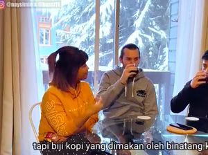 Hari Kopi Internasional, Bule-Bule Ini Tertarik Cicipi Kopi Luwak