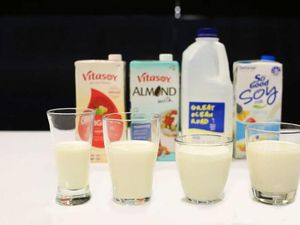 Hewani Atau Nabati: Susu Apa yang Paling Baik Bagi Kesehatan?