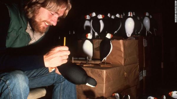 Penyelamat Burung Laut di Seluruh Dunia dalam Foto