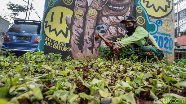 Perbaikan Taman yang Rusak di Kebayoran