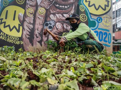 Perbaikan Taman yang Rusak di Kebayoran