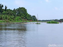 Tahu Nggak? Ini 36 Sungai yang Mengalir di Jawa Timur
