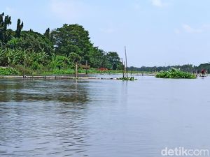 Tahu Nggak? Ini 36 Sungai yang Mengalir di Jawa Timur Tahu Nggak? Ini 36 Sungai yang Mengalir di Jawa Timur