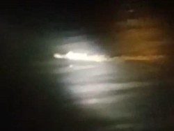 Viral Penampakan Buaya Putih di Sungai Brantas Kediri