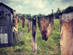 Melongok Kota Horor Saat Halloween di Ohio