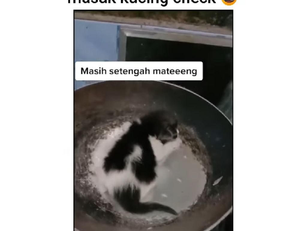 Bikin Video Candaan Masak Kucing, Netizen Ramai Menghujat