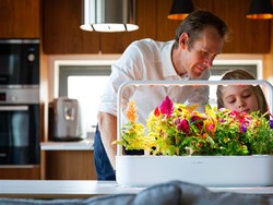 5 Teknologi Cerdas untuk Berkebun