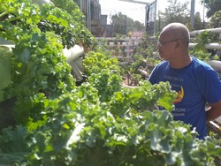 Raup Jutaan Rupiah dari Jual Hidroponik Online Saat Pandemi