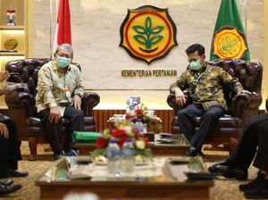 Dorong Kesejahteraan Petani Kopi, Dekopi Kolaborasi dengan Kementan