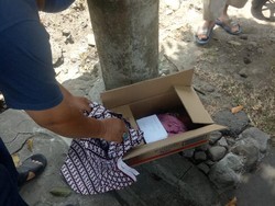 Heboh Temuan Kardus Isi Bayi-Secarik Kertas Bertulis Pesan di Sleman