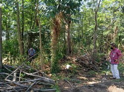 BPCB Jateng Cek Temuan Reruntuk Bebatuan Diduga Candi di Klaten