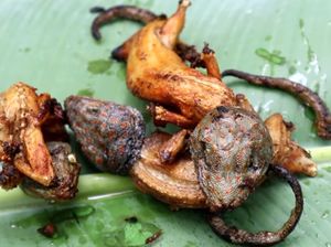 Wow! YouTuber Ini Mukbang Tokek di Tengah Hutan untuk Obati Gatal