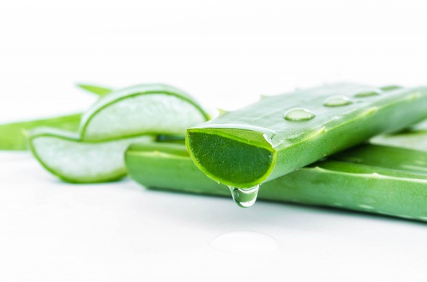 aloe vera gel/freepik.com Hasil penelitian menunjukkan aloe vera mampu mengurangi rasa sakit akibat sunburn yang tidak terlalu berat