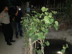 Main Tak Diawasi Ortu, Balita di Mojokerto Ditemukan Tewas di Kolam Lele