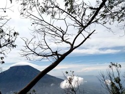 Gunung Sindoro via Alang-alang Sewu Dibuka, Ini Protokolnya