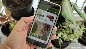 Aneka Peluang Usaha Berkebun Dibantu Teknologi Digital
