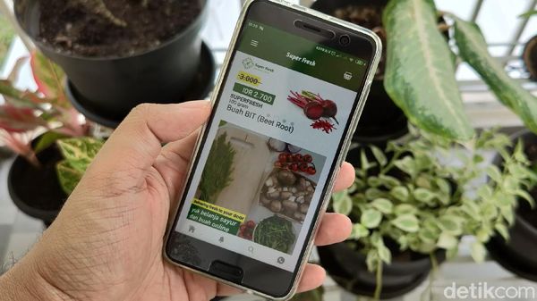 Aneka Peluang Usaha Berkebun Dibantu Teknologi Digital