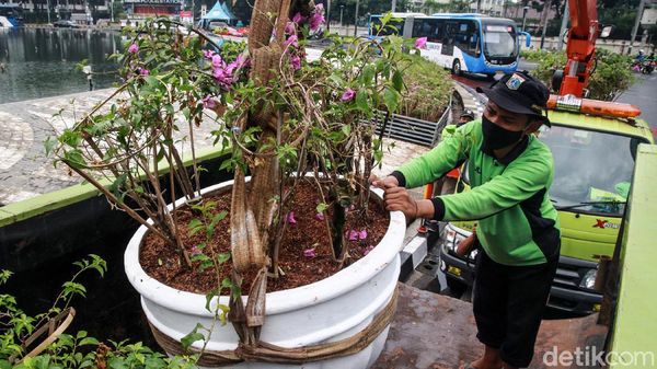 Perawatan Taman Bundaran HI