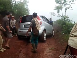 Cemas Pemobil Tersesat-Terjebak di Hutan Tasik Diincar Hewan Buas
