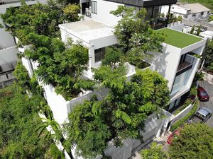 Percaya Nggak? Rumah Ini Ditanami Ratusan Pohon Sampai ke Atap