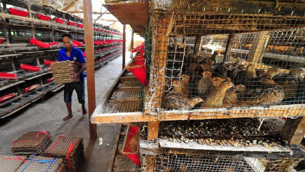 Realisasi Penyaluran Banpres UMKM