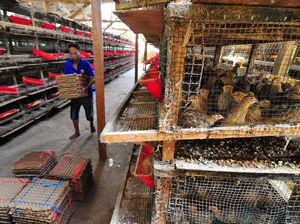 Realisasi Penyaluran Banpres UMKM