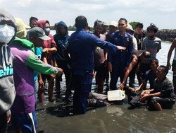 Warga Pinrang Sulsel Tewas Tenggelam Saat Cari Kepiting di Pantai