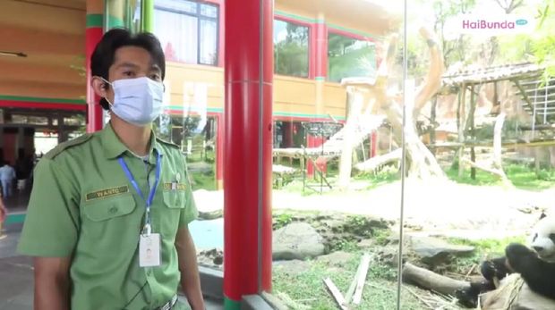 Wisata virtual HaiBunda.com