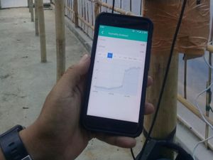 Biji Kopi Makin Enak Dibantu Teknologi IoT