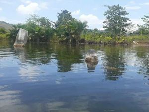 Danau Sentani Surut, Benda Purbakala Bermunculan
