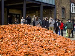 Viral, Karya Seni dari 32 Ribu Kg Wortel Jadi Sensasi Aneh